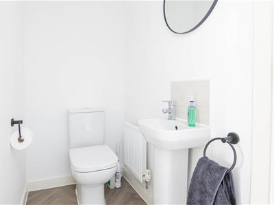 Picture 12